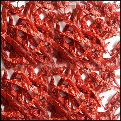 273 Wrinkle  Chilli Stemless
